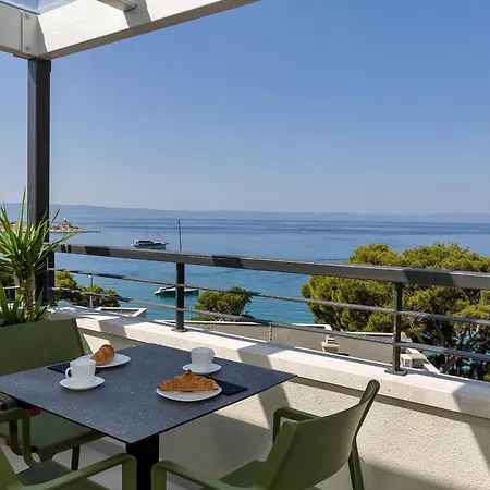 Beachfront Srzic Apartment