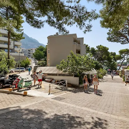 Beachfront Srzic