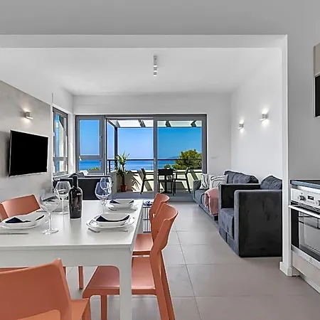Beachfront Srzic Apartment